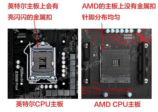 intel和AMD主板的区别