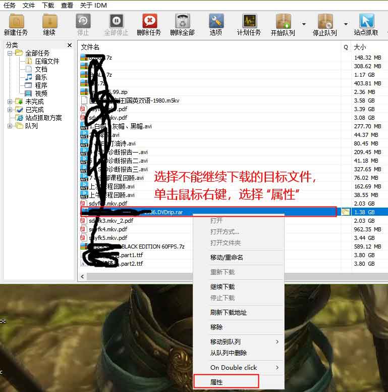 idm软件中打开文件属性