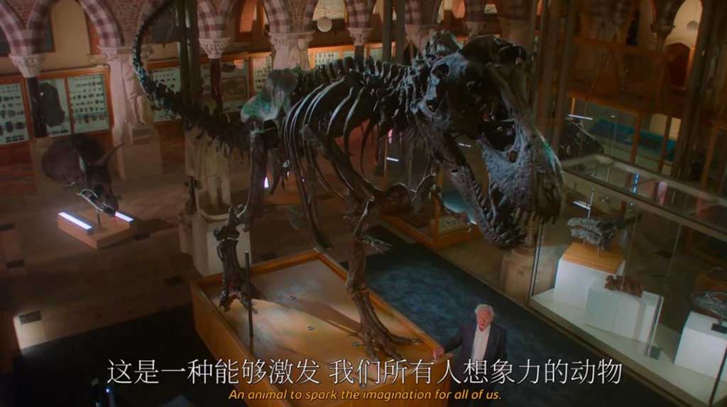 BBC自然历史剧「史前星球」Prehistoric Planet(2022)1080P英语中英字幕无水印【5集】-雨飞叶