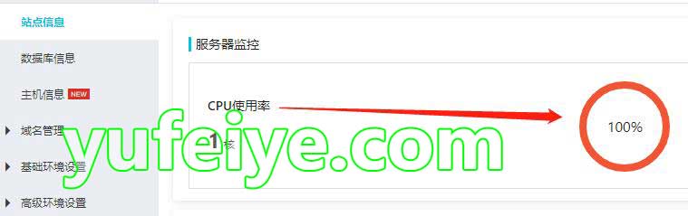 网站服务器CPU使用率100%
