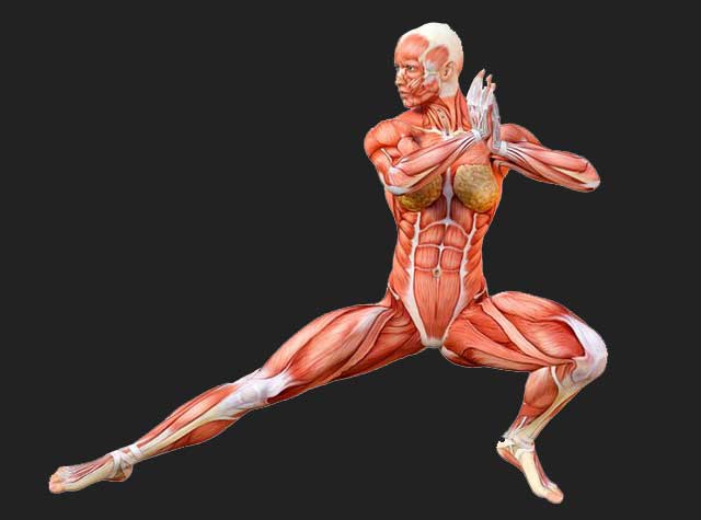 肌肉伸展操：侧身式