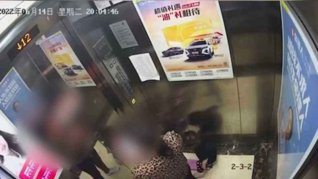 杭州女童坠亡案电梯监控视频截图