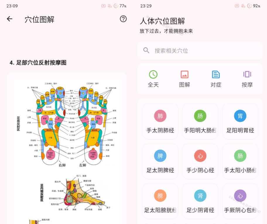 「人体穴位图解」软件缩略图1